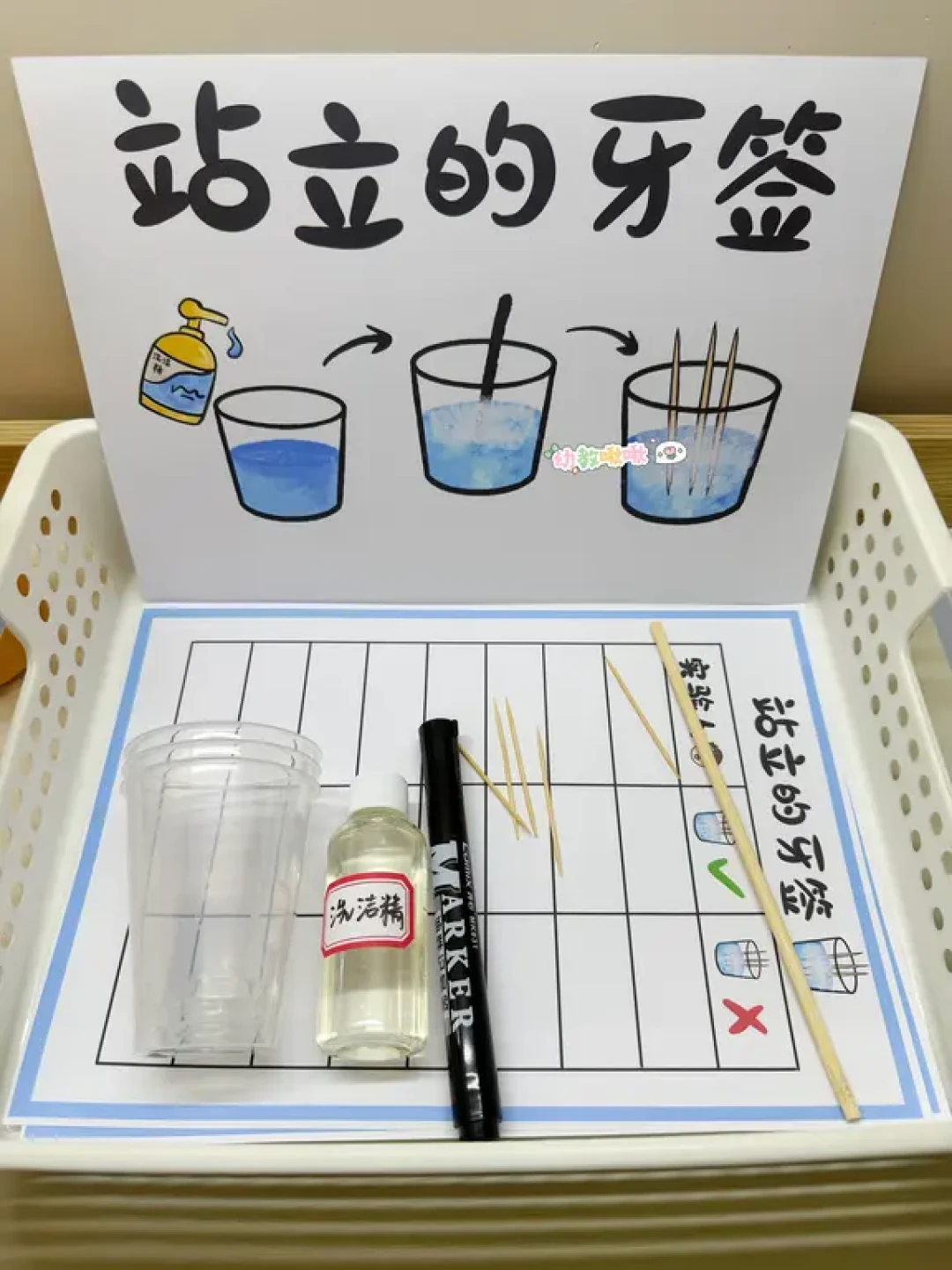 科学区投放材料|水系列可打印步骤图