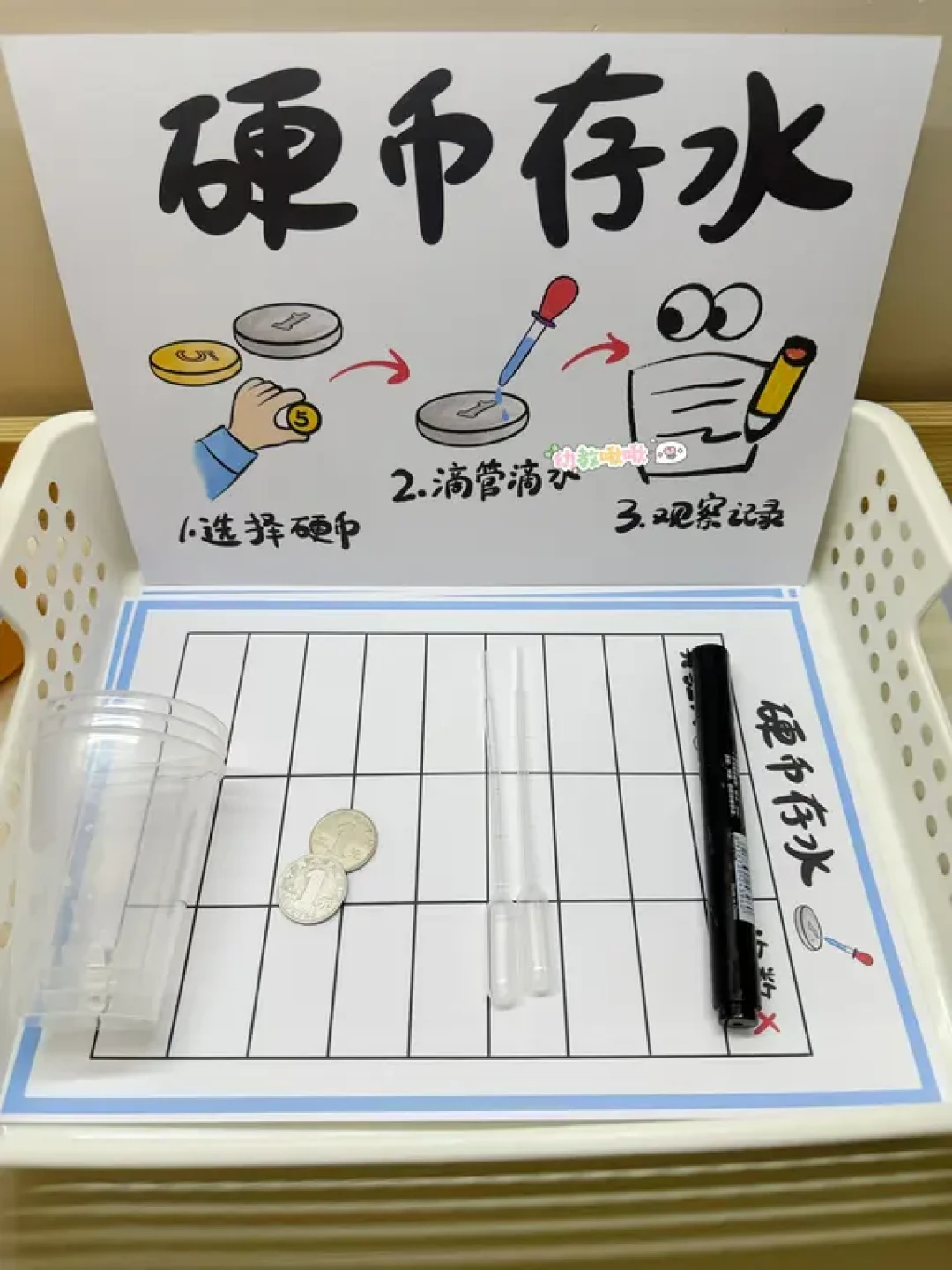 科学区投放材料|水系列可打印步骤图