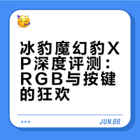 超绝RGB！| 冰豹魔幻豹XP