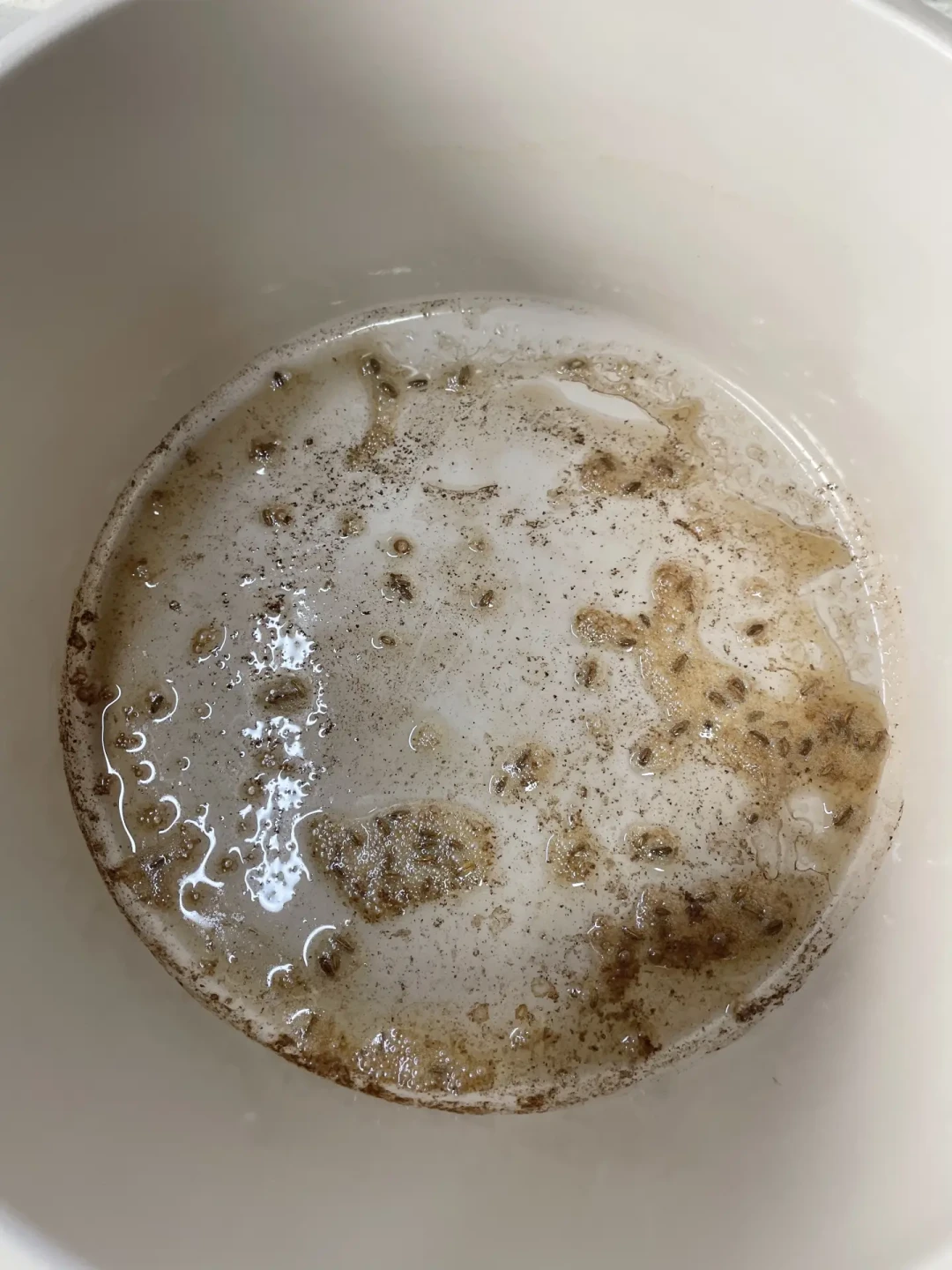 花椰菜土豆咖喱Aloogobi#极限40分钟