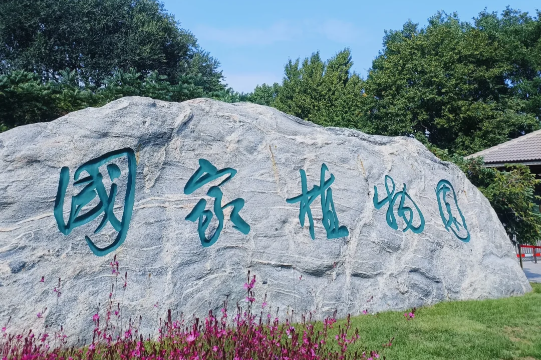 北京这些遛娃好去处，安排！