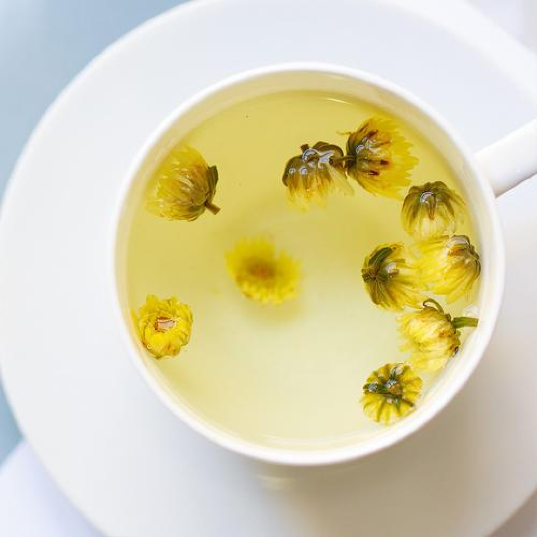 有关胎菊的知识你知道多少?