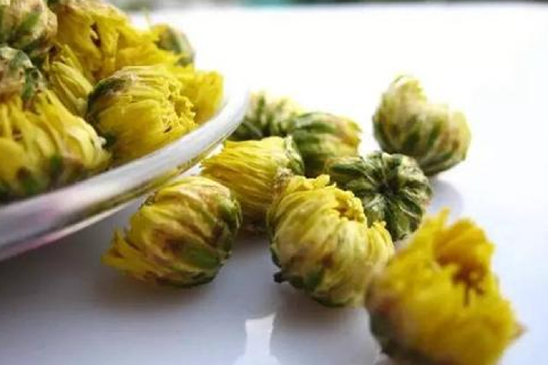 有关胎菊的知识你知道多少?