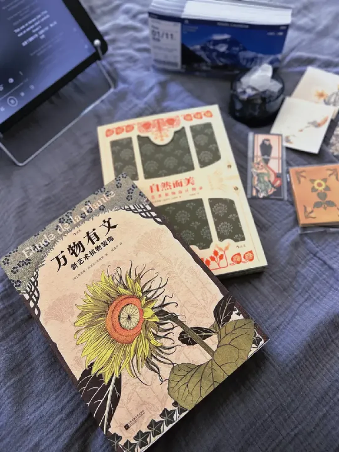🟦快看看👀,我又得到了什么美炸天的好登西