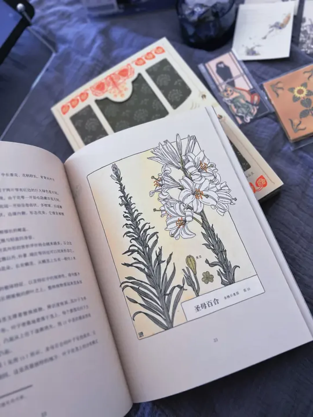 🟦快看看👀,我又得到了什么美炸天的好登西