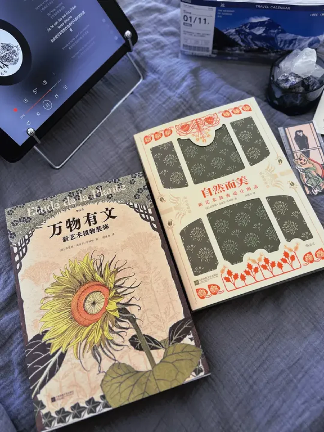 🟦快看看👀,我又得到了什么美炸天的好登西