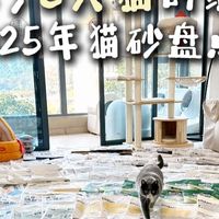 8猫家庭，好用款猫砂年度总结