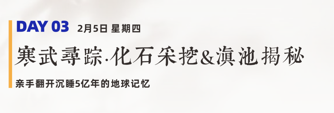寒假昆明行|5天4晚,化石采挖、植物探寻、非遗体验、鲜花经纪人