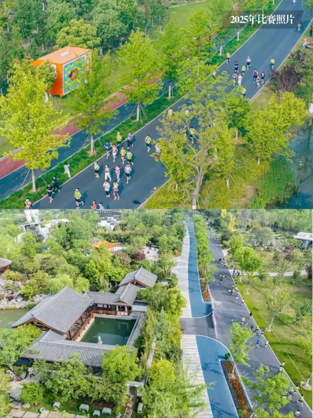 2026合肥半程马拉松报名指南|划重点版