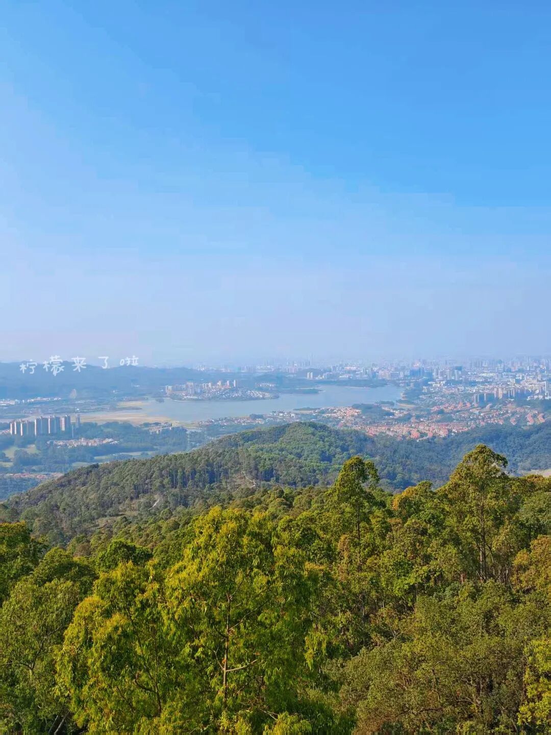 不输白云山,广州周边这条“绿野森林”路线,人少免费,环山徒步,山顶览江河,每一步都是享受!