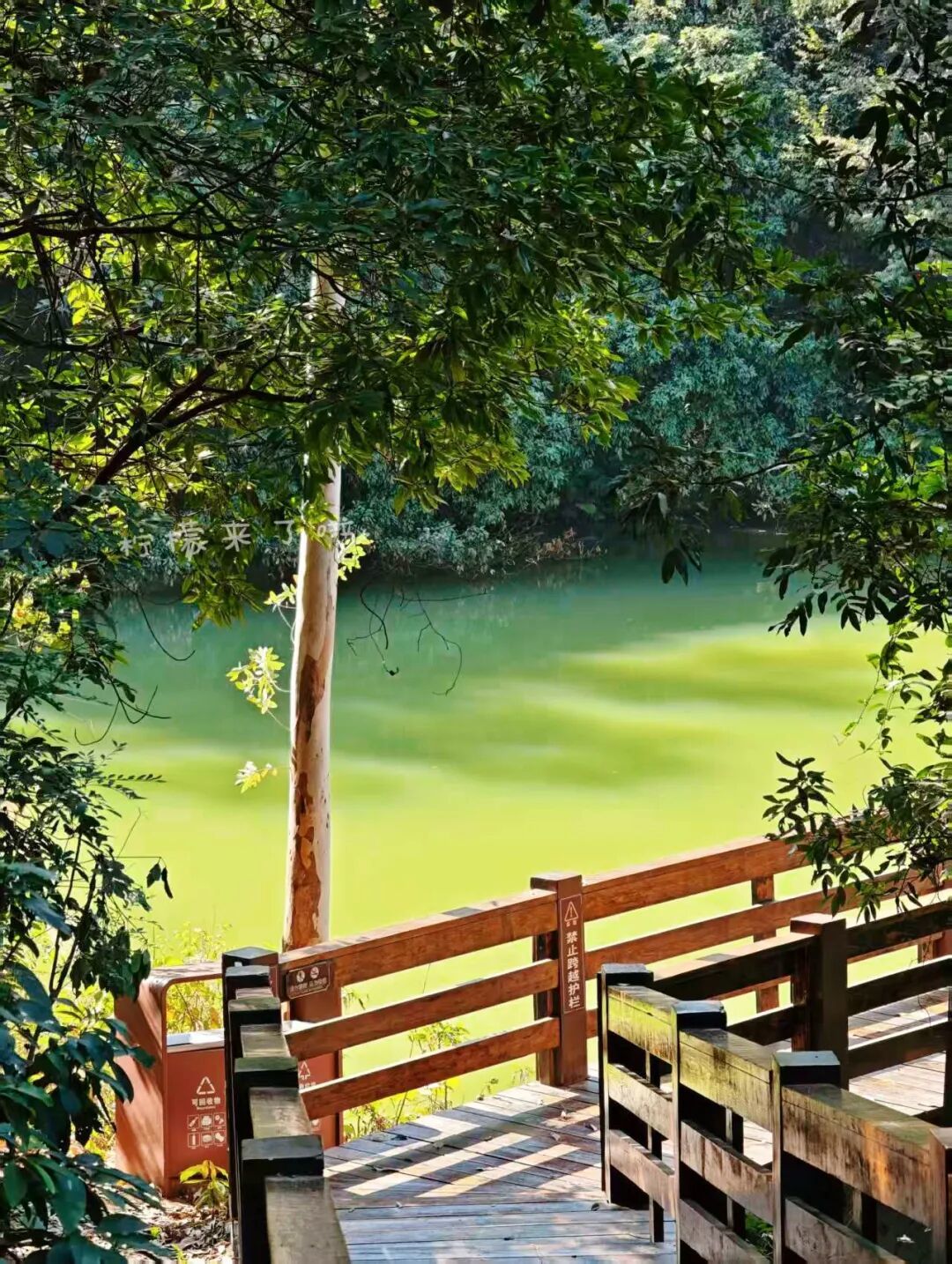 不输白云山,广州周边这条“绿野森林”路线,人少免费,环山徒步,山顶览江河,每一步都是享受!