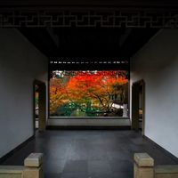 「推荐」非渔：用超广角镜头，发现“诗画”般的秋与冬