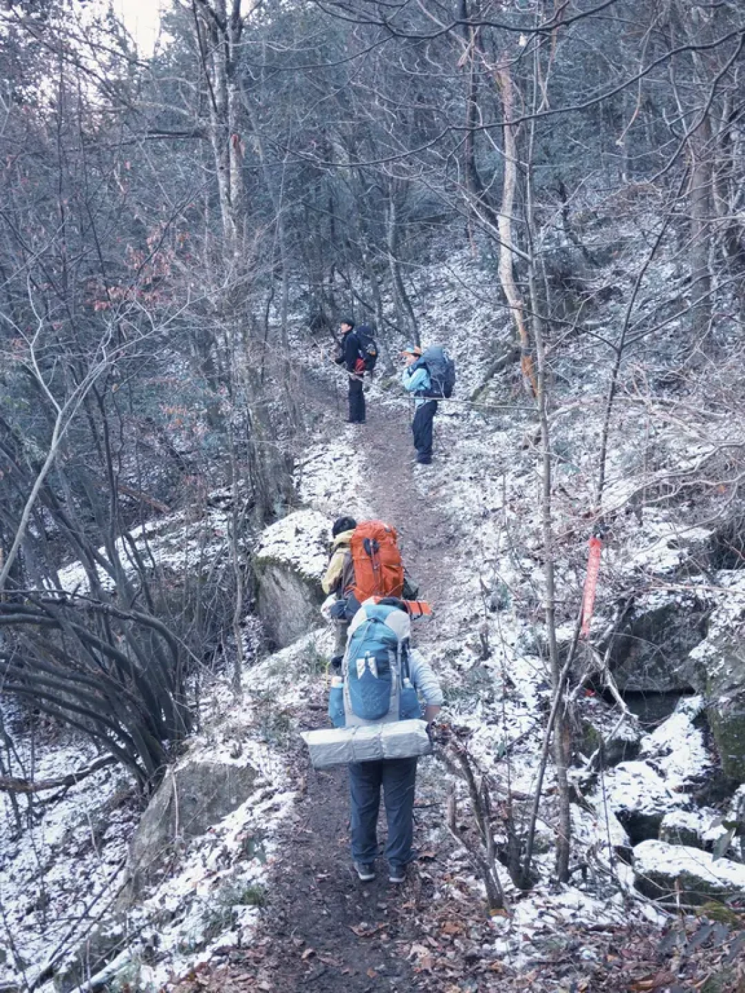 百丈岭小环线保姆级攻略(看雪 雾凇 星空)