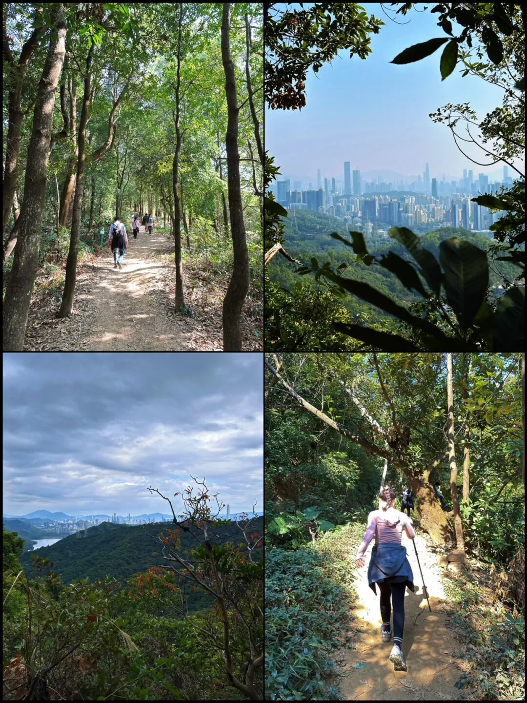 深圳徒步|新手友好|地铁直达的治愈郊野线