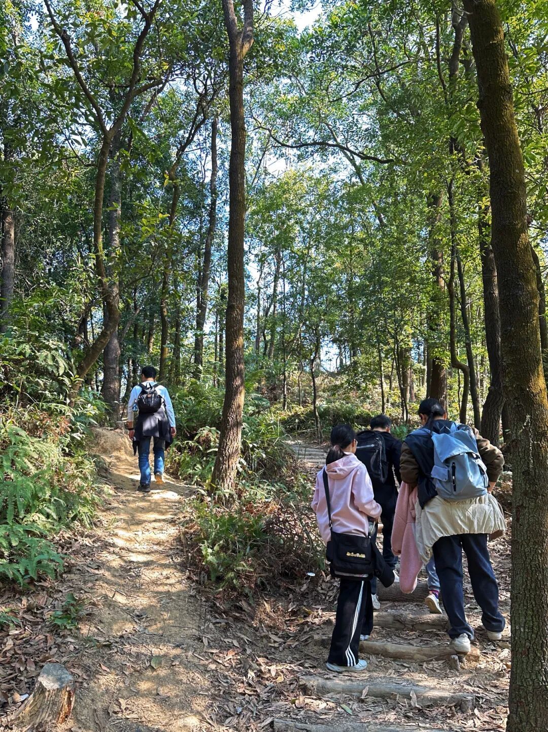深圳徒步|新手友好|地铁直达的治愈郊野线