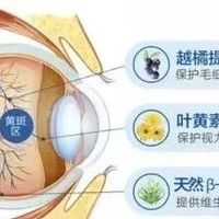 叶黄素:儿童青少年近视防控的“隐形守护盾”