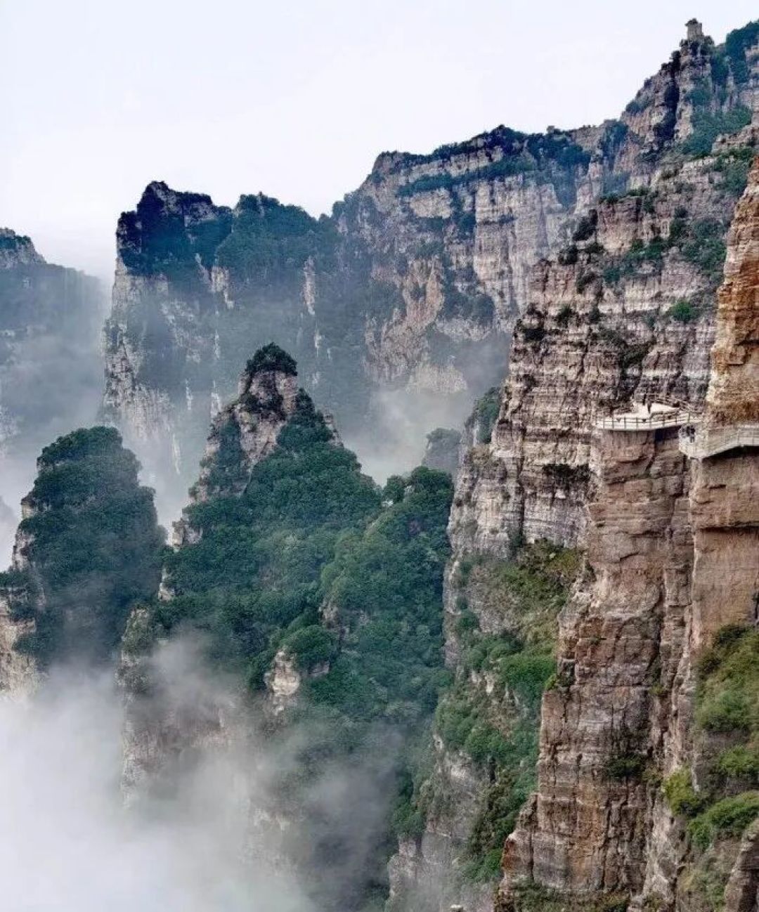 大美不言 | 白石山:太行北端,云端上的书卷