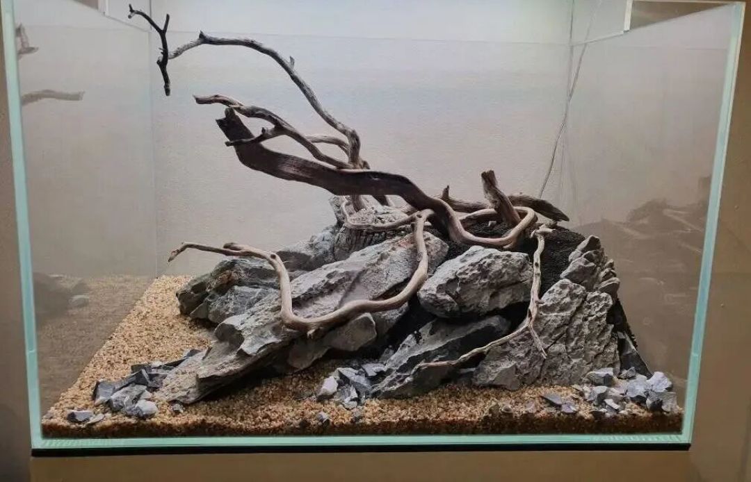 闲暇之余的小慰藉:普通水草玩家的普通45cm缸