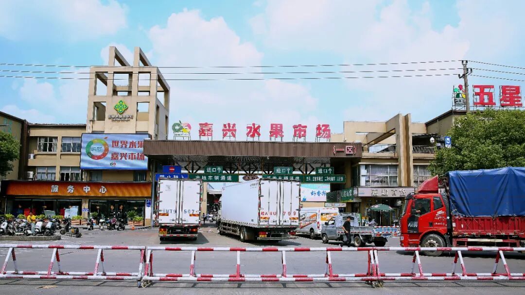 行情分析/2025年嘉兴水果市场行情分析