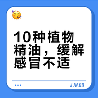 舒缓冬季感冒的10种植物香味