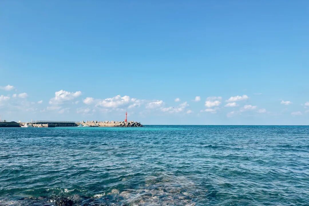 冬天,在济州岛跨年