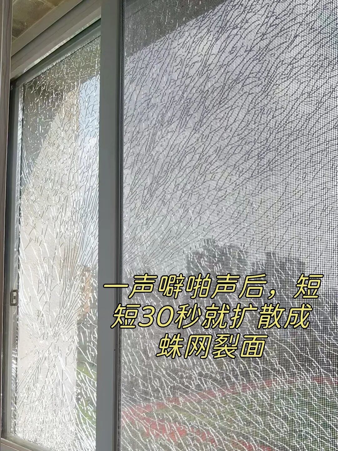 20℃!谁还分得清是夏天还是冬天