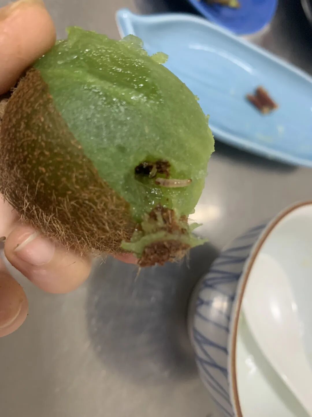 网友问水果问题多不能吃?还能吃什么水果?深度种菜 X 辨食力 想要选对健康水果,记住这三点