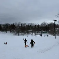 暴雪天Cedarvale Ravine雪鞋体验