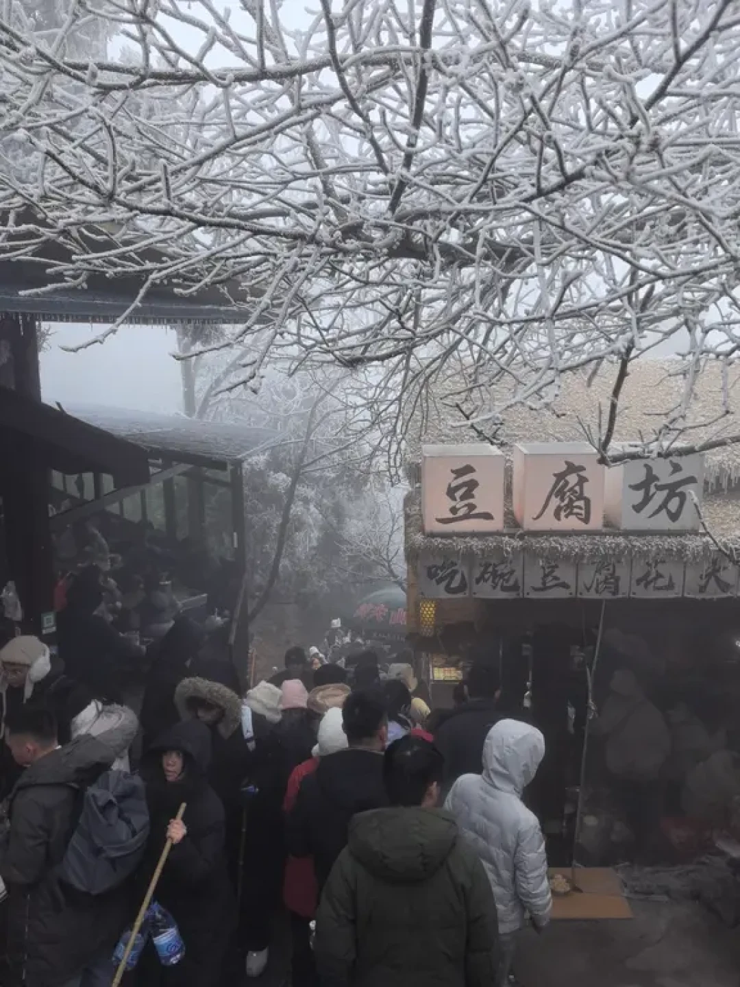 深圳➡衡山看雾凇❄两天两夜行程分享