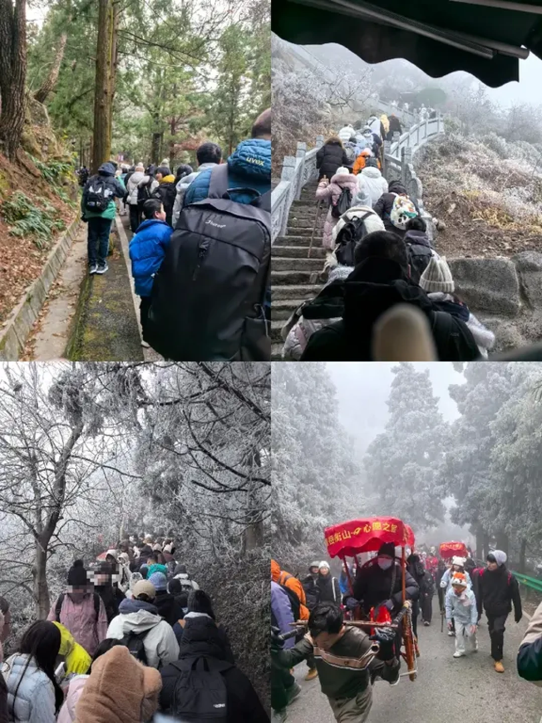 深圳➡衡山看雾凇❄两天两夜行程分享