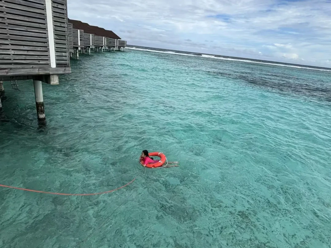 马尔代夫双鱼岛浮潜建议