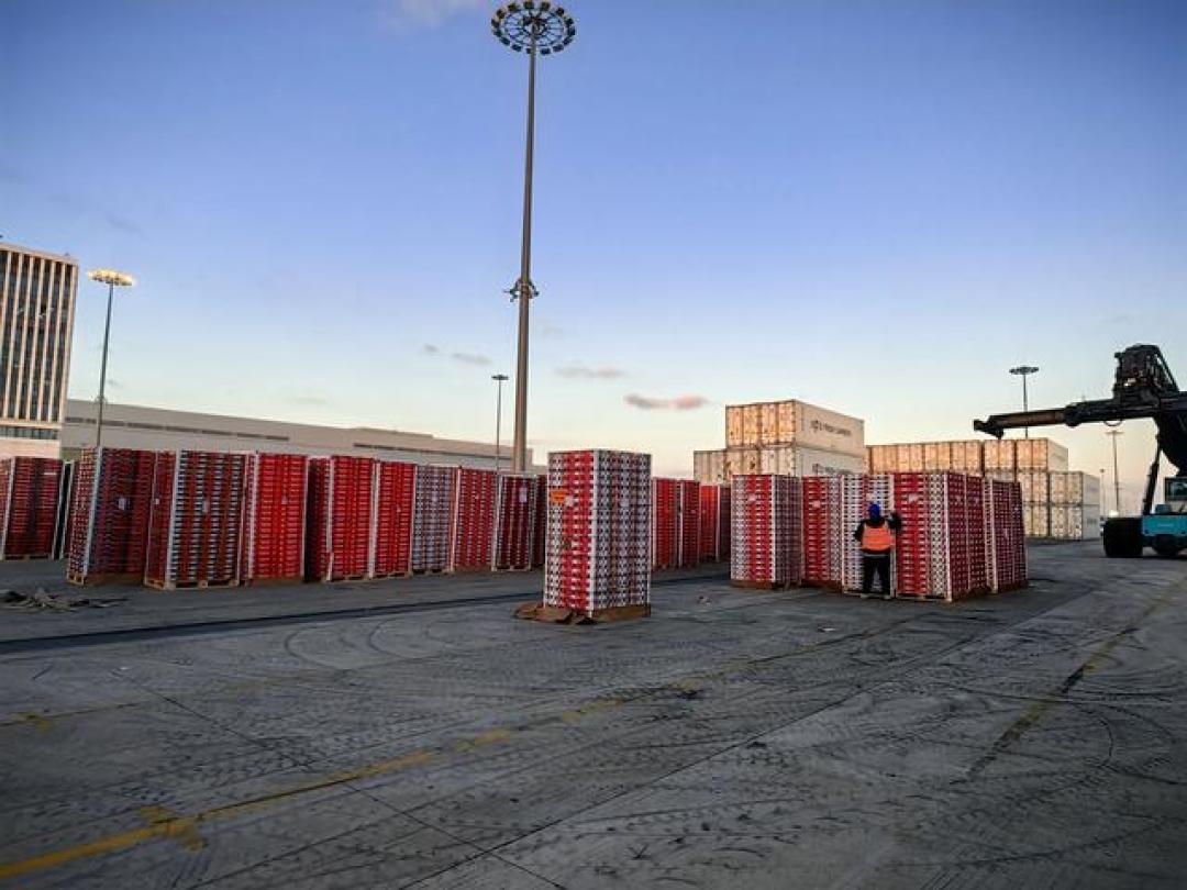 65万吨车厘子涌入中国,养肥智利!横跨2万公里保鲜靠加防腐剂?