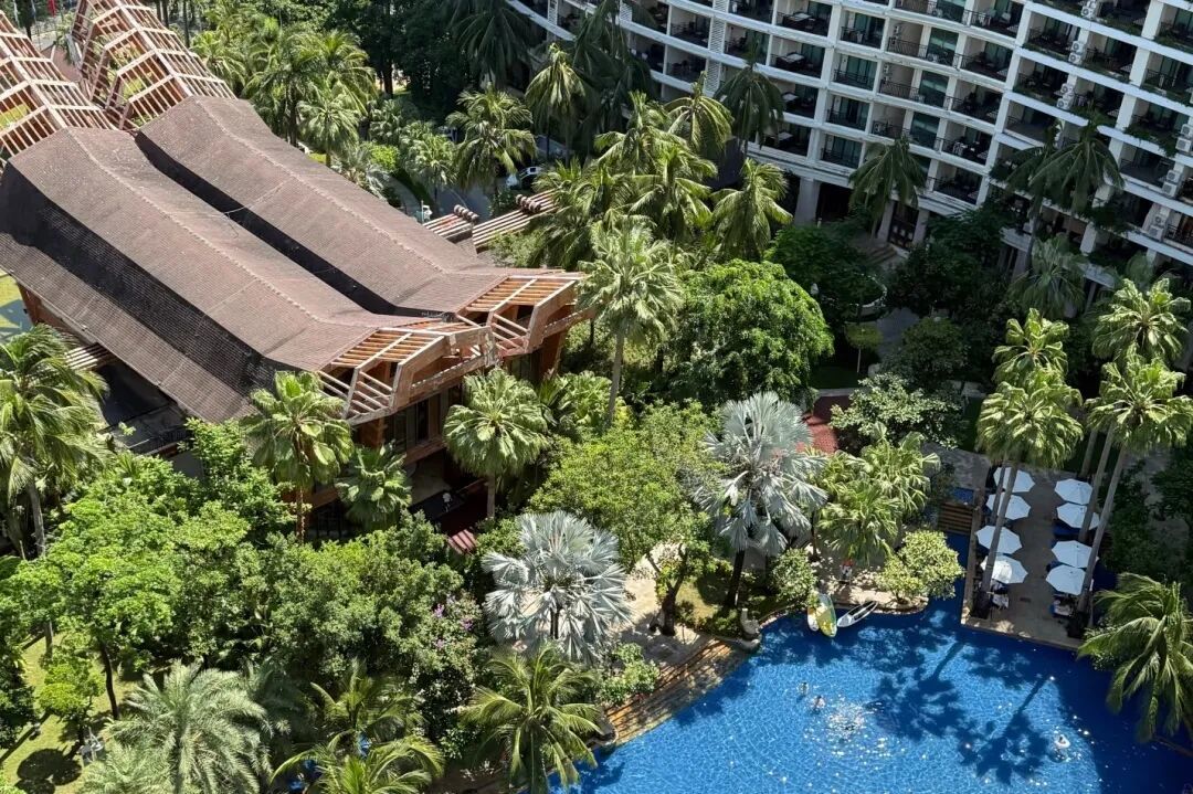 校百灵旅游特辑|海南,暖冬好去处