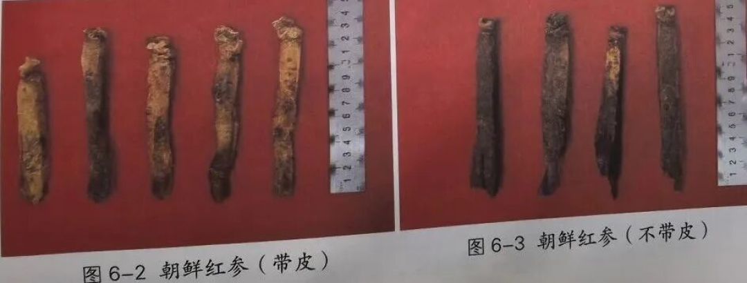 继续聊朝鲜人参——高丽参