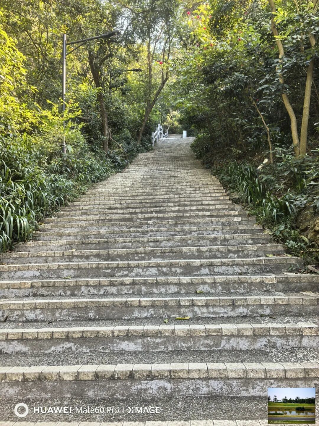 2026初 广州白云山徒步