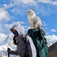 ZAMST护踝测评｜习惯性崴脚徒步人最后的挣扎