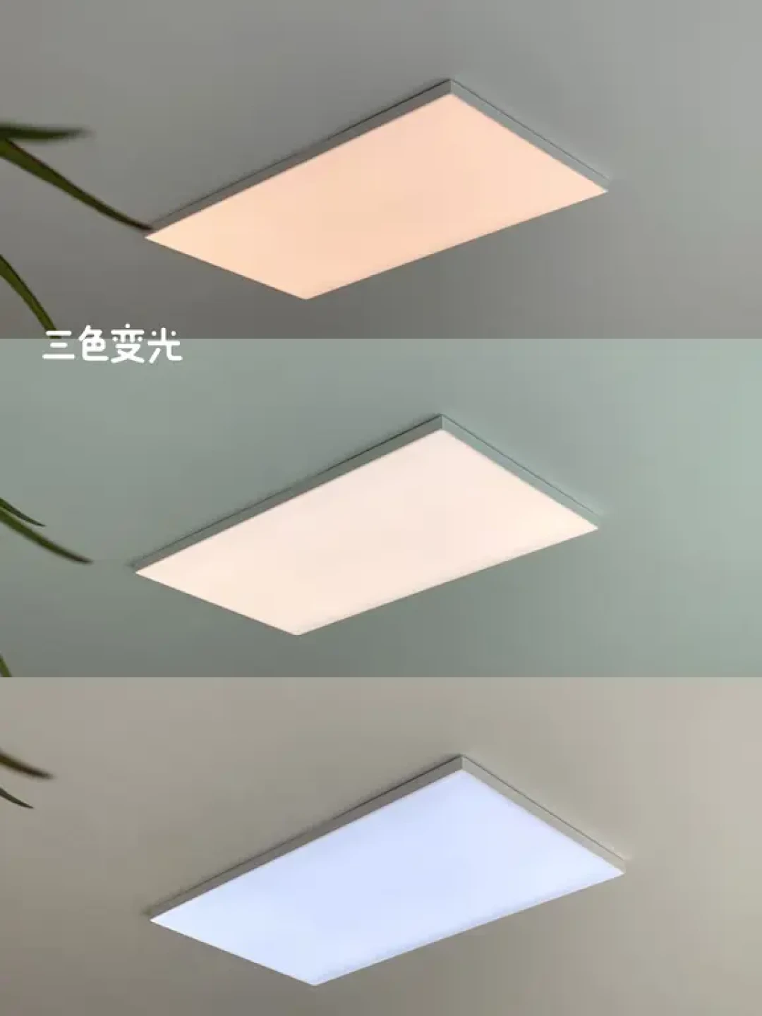 给大家分享一下我选客厅吸顶灯的真实过程