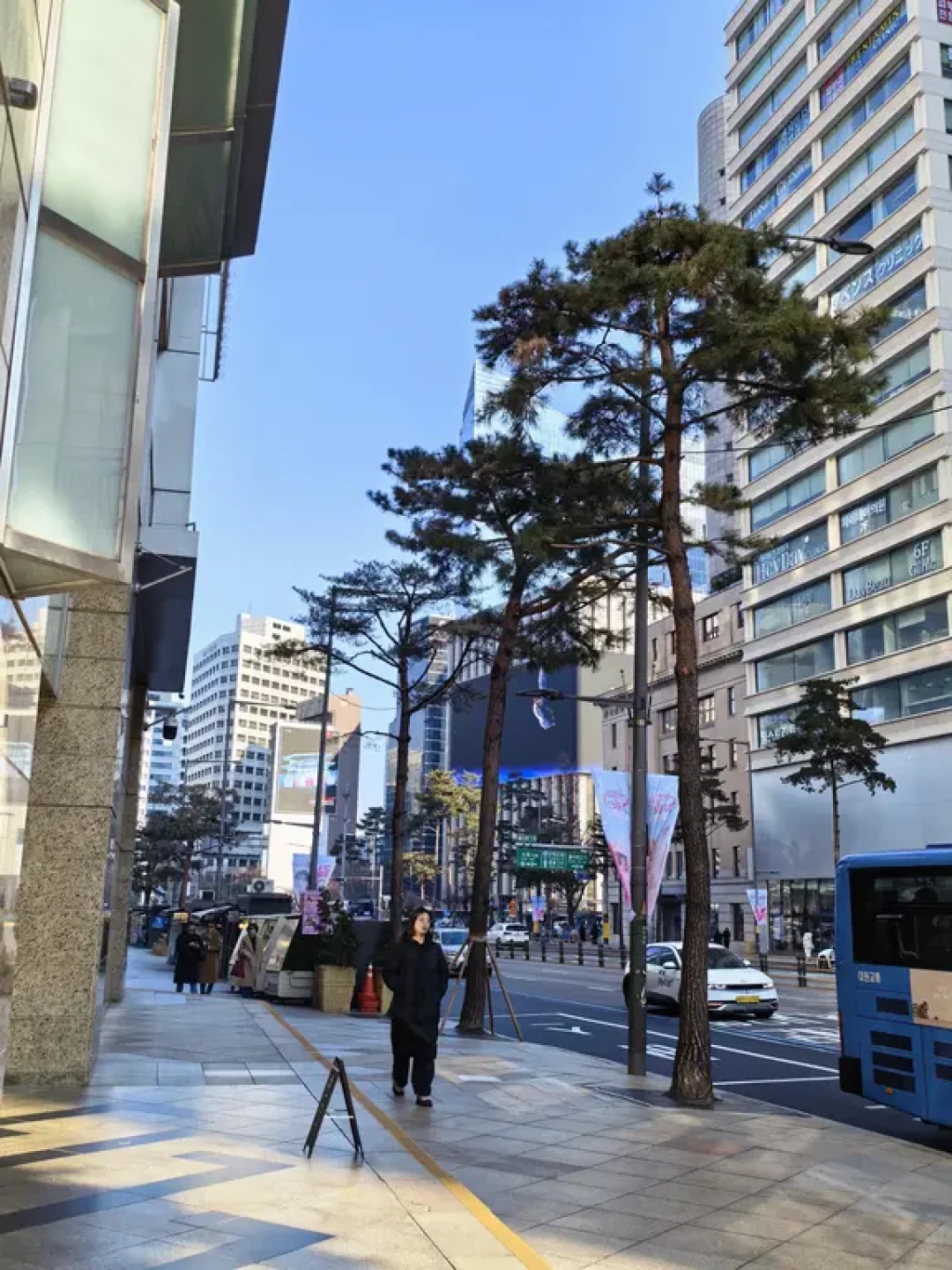 务实版！冬季韩国购物攻略分享🌟💕