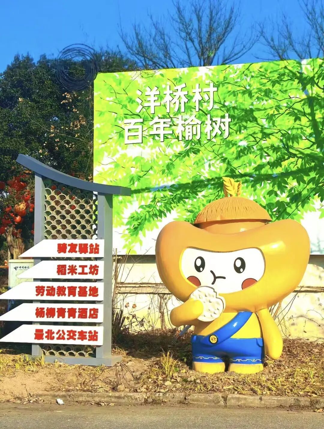 上海这里藏了个宝藏村!600多岁古树+绝美田园,承包你的周末“小逃离”!