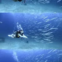 普吉岛ow潜水手册