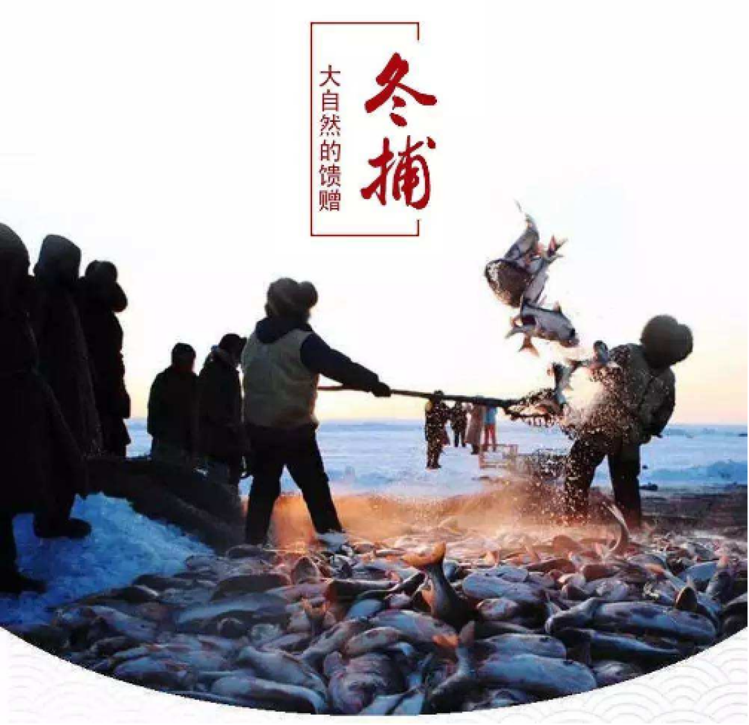 1月最佳旅行地推荐,千万别错过!
