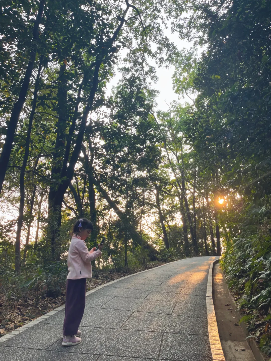 每周一徒步|解锁白云山隐藏徒步路线🚶