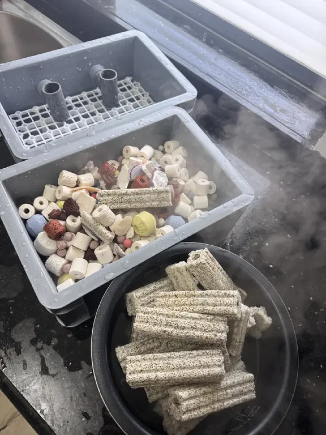 养一只金鱼成功上岸