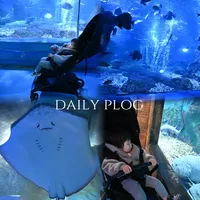 🌊魔都遛娃｜解锁嘉定海洋世界的梦幻攻略🐟