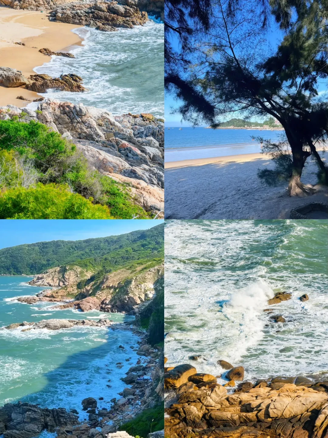 🌈东山岛｜12-2月来真的很香，人少景美！