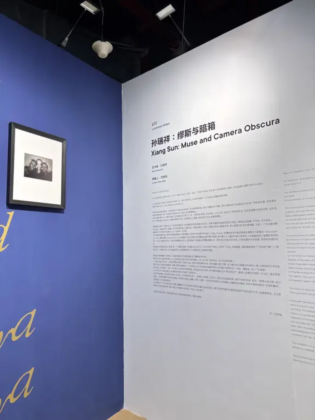 厦门 | 适合i人待一下午的艺术影展