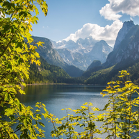 中意人寿10款分红增额寿，太多数人没选到收益最高的