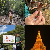 极致p人西双版纳-普洱四天四夜 极简版攻略