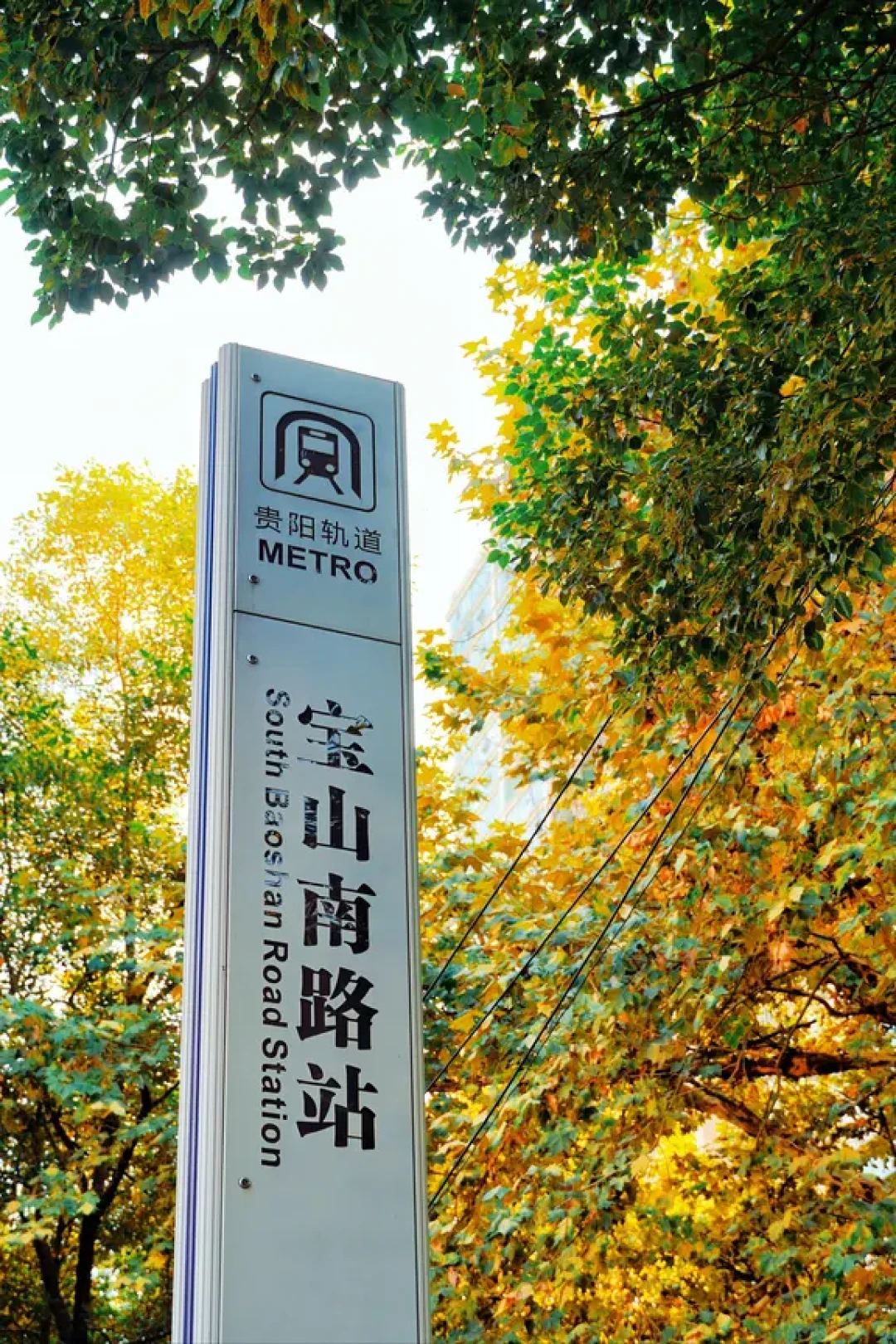 贵阳南明|宝山南路梧桐大道Citywalk攻略