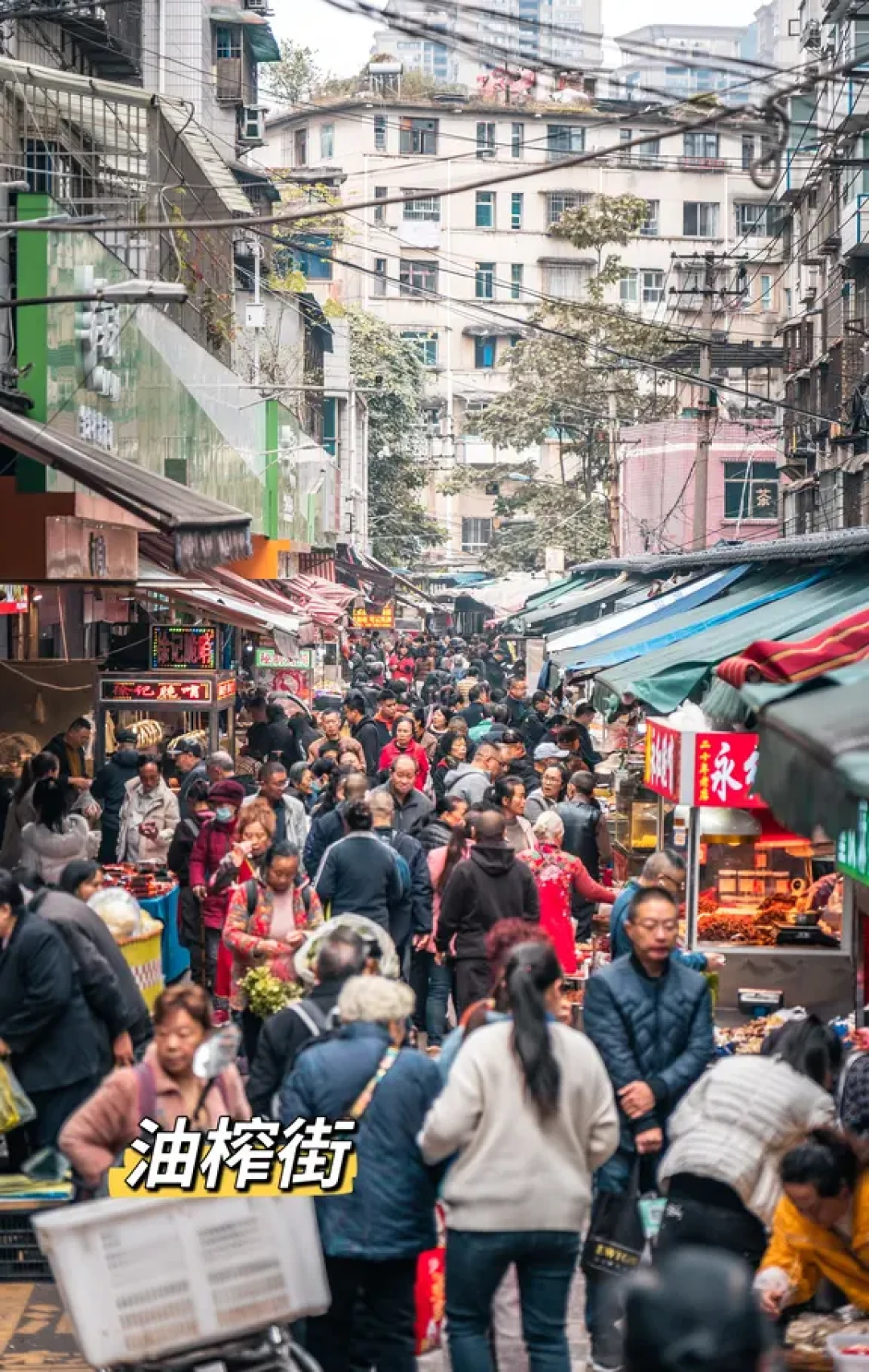 贵阳南明|宝山南路梧桐大道Citywalk攻略
